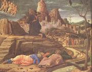 Andrea Mantegna The Agony in the Garden (nn03) USA oil painting reproduction